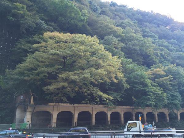 Masutomi Ryokan هاكوني المظهر الخارجي الصورة
